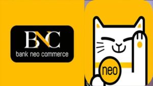 Demi UMKM Atur Transaksi Keuangan, Bank Neo Commerce Lahirkan Neo Business