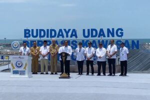 Disamping Ganjar, Presiden Jokowi Sebut Tambak Budidaya Udang di Kebumen Bisa Dicontoh di Daerah Lain