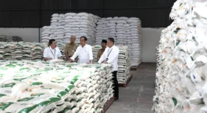 Jokowi Siapkan Cadangan Beras untuk Bantuan Pangan Tahun 2023