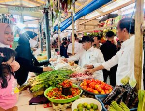 Presiden Jokowi Bagikan Bansos dan Cek Harga Kebutuhan Pokok di Pasar Malindungi