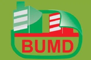 Berkat Inovasi, Kinerja dan Layanan BUMD Makin Tokcer