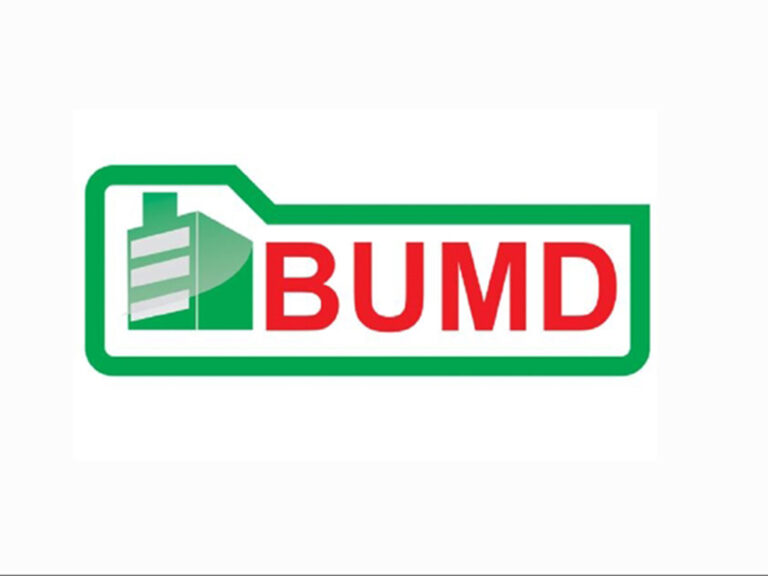 logo-bumd