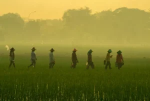 Pelaksanaan Reforma Agraria Harus Dipercepat