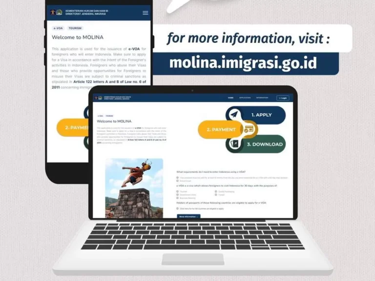 visa online molina