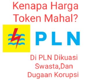 Listrik Dibajak Oligarki,Pantesan Harga Token Mahal