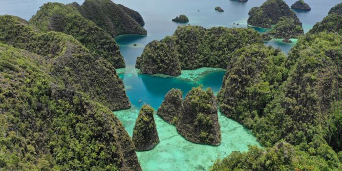 Pendekatan Keamanan di Papua Harus Dihentikan, Meninjau Solusi Humanistik dan Dialog Damai