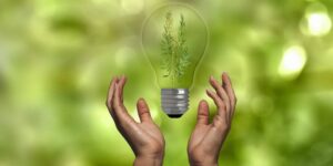 Tantangan dan Risiko dalam Pengembangan Bioenergi