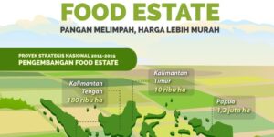 Layakkah Program Food Estate Dilanjutkan untuk Ketahanan Pangan?