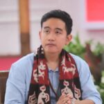 Damai Hari Lubis Prediksi Gibran Rakabuming Raka Jadi Presiden 2029