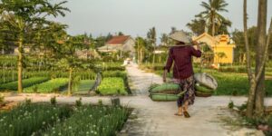 Ketergantungan Impor di Negeri Agraris, Ini Data Ekspor Impor Pertanian Indonesia