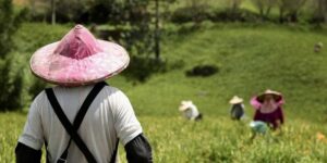 Tantangan Wujudkan Kedaulatan Pangan di Era Pemerintahan Baru