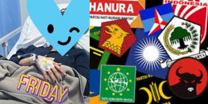 Siapa Ketum Parpol yang Aniaya Wanita