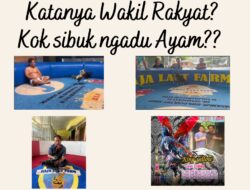 JMPJR Desak DPRD dan Aparat Hukum Panggil dan Periksa Anggota DPRD Muhammad Idris Terkait Dugaan Hobi Sabung Ayam
