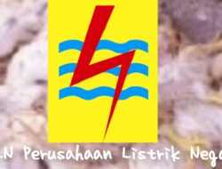 Prestasi Palsu PLN Indonesia Power? Mus Gaber: Ini Bisa Jadi Pembohongan Publik