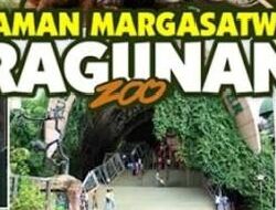 Ragunan Butuh Modernisasi Serius, Agar Naik Kelas.