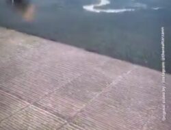 Influencer Amerika Soroti Deforestasi Riau dari Udara: Sumatra Jadi Pelajaran Tentang Kehancuran