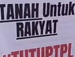 Pemerintah Tutup Sementara PT TPL, Ketum APIB: Langkah Tepat Demi Kelestarian Kawasan Danau Toba
