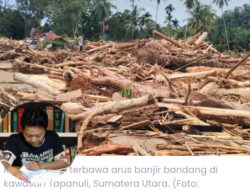 Bencana Sumatera dan Kebusukan yang Terbongkar