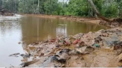 Uchok Sky Khadafi Soroti Dugaan Pencemaran Lingkungan di Halmahera Timur, Minta ANTAM Transparan dan Patuh Regulasi