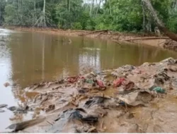 Uchok Sky Khadafi Soroti Dugaan Pencemaran Lingkungan di Halmahera Timur, Minta ANTAM Transparan dan Patuh Regulasi