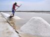 RI akan Swasembada Garam Industri Melalui Program K-SIGN KKP di Rote Ndao NTT