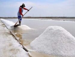 RI akan Swasembada Garam Industri Melalui Program K-SIGN KKP di Rote Ndao NTT