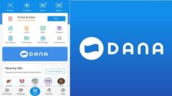 Tanggapan DANA Terkait Transaksi Muncul di DANA QR Lazada