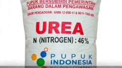 Terapkan Skema Marked to Market, Utang Subsidi Pemerintah ke PT Pupuk Indonesia Bengkak